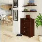   AKORD Klasszikus Billenő Ajtós Cipősszekrény Laminált Wenge 60cm