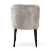 Aine Supreme Kárpitozott Szék Bársony Szürke