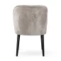 Aine Supreme Kárpitozott Szék Bársony Szürke