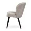 Aine Supreme Kárpitozott Szék Bársony Szürke