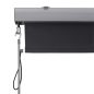  SONGMICS Függőleges Teraszárnyékoló Szürke Alumínium Házas Napellenző 250x160 cm