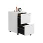   SONGMICS Mobil Irodai Irattartó Szekrény Acél 2 Fiókos Zárható Fehér