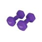 SONGMICS Neoprén Súlyzó Szett 2x2 kg Csúszásmentes Lila