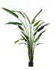 Bizzotto Strelitzia Műnövény Dekoráció 310 cm