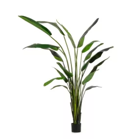 Bizzotto Strelitzia Műnövény Dekoráció 310 cm