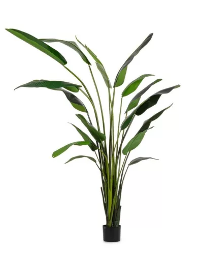 Bizzotto Strelitzia Műnövény Dekoráció 310 cm