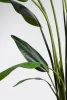 Bizzotto Strelitzia Műnövény Dekoráció 310 cm