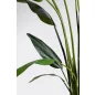Bizzotto Strelitzia Műnövény Dekoráció 310 cm