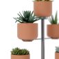   Umbra Terrapotta Titán Asztali Növényállvány 5 Cseréphellyel