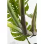 KARE Design Monstera Műnövény Dekoráció 110 cm