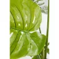 KARE Design Monstera Műnövény Dekoráció 110 cm