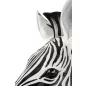 KARE Design Zebra Műgyanta Fali Dekoráció Fekete-Fehér