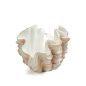  KARE Design Concha Kagylómintás Dekoratív Váza Krémfehér 29 cm