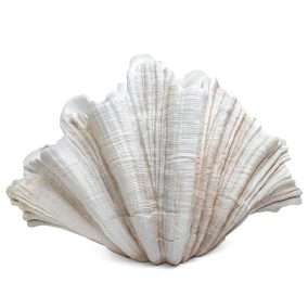   KARE Design Concha Kagyló Alakú Dekoratív Váza Krémfehér 57cm