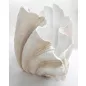   KARE Design Concha Kagyló Alakú Dekoratív Váza Krémfehér 57cm