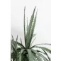   Kare Design Dragon Tree műnövény 155 cm zöld karbantartásmentes