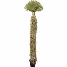KARE Design Yucca Rostrata Műnövény Dekoráció 240 cm