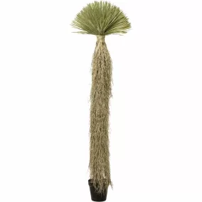 KARE Design Yucca Rostrata Műnövény Dekoráció 240 cm