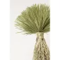 KARE Design Yucca Rostrata Műnövény Dekoráció 240 cm