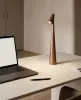 SHP Slim Asztali és Kerti Lámpa Bronz-Réz USB-C Töltéssel