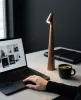 SHP Slim Asztali és Kerti Lámpa Bronz-Réz USB-C Töltéssel