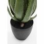 KARE Design Műaloe Dekoratív Növény 69 cm