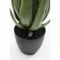 KARE Design Műaloe Dekoratív Növény 69 cm
