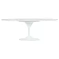 King Home Tulip Ellipse Marble Carrara Étkezőasztal Ovális Márvány Fehér