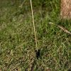 New Garden Bruna 80 Napelemes LED Kerti Lámpa Réz Hármas