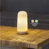 New Garden Candy Hordozható LED Lángeffektes Asztali Lámpa