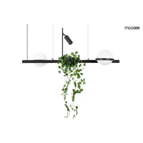 MOOSEE Plant Fekete Függőlámpa Növénytartóval