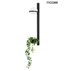 Moosee Plant Wall Fekete Fali Lámpa Növénytartóval