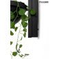 Moosee Plant Wall Fekete Fali Lámpa Növénytartóval