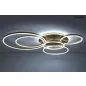 MOOSEE RINGS 6 LED Mennyezeti Lámpa Arany