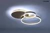 MOOSEE RINGS 3 LED Mennyezeti Lámpa Arany