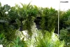 Moosee Gardens Wisteria 50 függő lámpa LED fehér-zöld távirányítóval