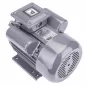   Powermat Elektromotor – 2,2 kW, 2800 ford./perc – Egyfázisú, 230V (PM0848)