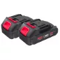   RED TECHNIC Akkumulátoros Láncfűrész – 21V, 1000W, 4" és 6" vezető – 2 db akkumulátorral (RTMPA0064)