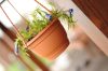 Agro Függő Virágtartó Terrakotta 24 cm csomag