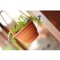 Agro Függő Virágcserép Terrakotta 27 cm