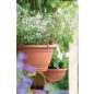 Agro Függő Virágcserép Terrakotta 27 cm