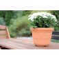 Sunny Napraforgó Mintás Terrakotta Virágtartó 57 cm