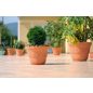 Sunny Napraforgó Mintás Terrakotta Virágtartó 57 cm