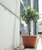 Terra Antracit Műanyag Virágcserép 35 cm csomag