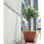 Terra Antracit Műanyag Kaspó 40 cm