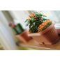 Terra Klasszikus Ablakpárkány Virágtartó Terrakotta 31,6 cm