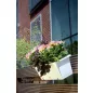 Camelia Erkélytartó Láda Terrakotta 40 cm
