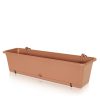 Camelia Erkélyláda Terrakotta 60 cm