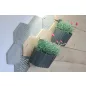 Boardee Wall Fali Virágtartó Antracit 194