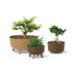 Gracia ECO Wood Kávébarna Virágtartó Lábakon 20 cm